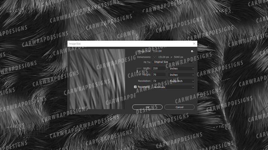 Calico Cat Fur | Black and Gray Background