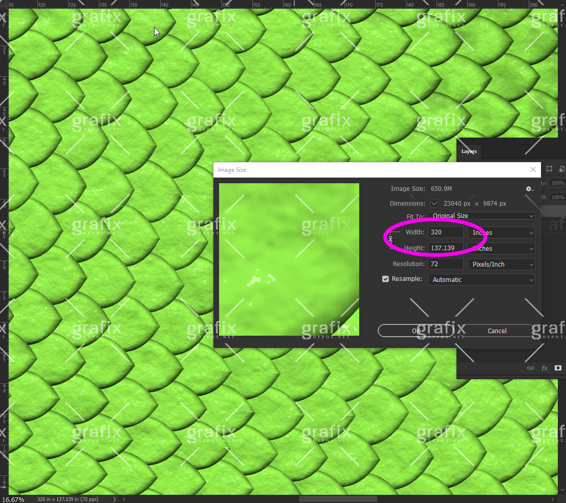 Reptile Backgrounds
