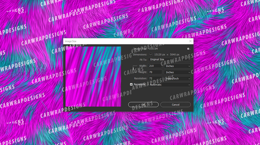 Calico Cat Fur | Pink and Teal Background