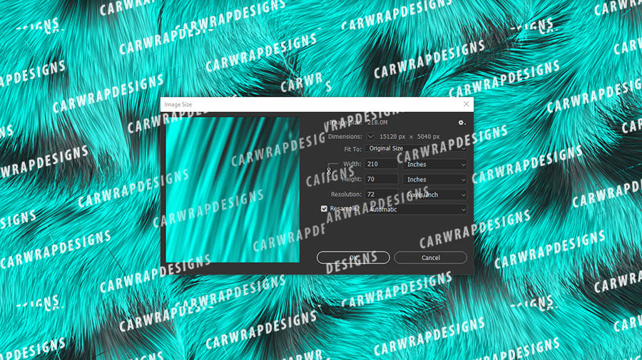 Calico Cat Fur | Teal and Black Background