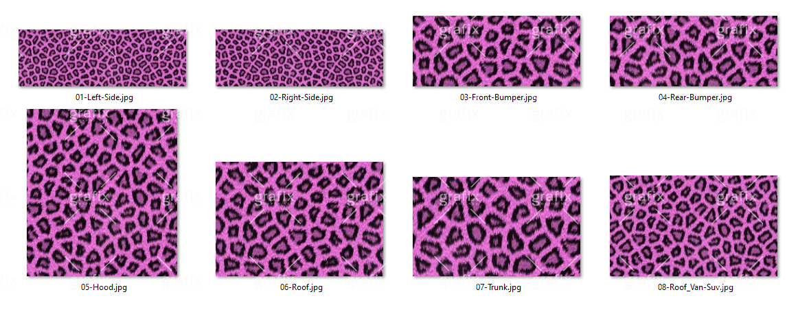 Leopard Car Kit