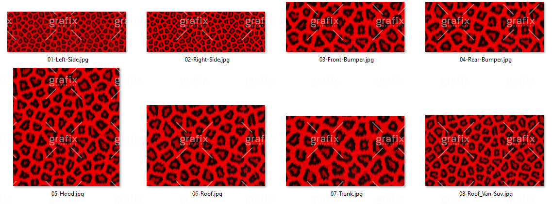 Leopard Car Kit