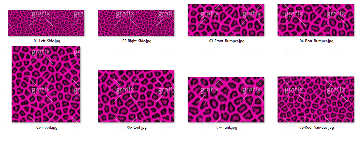 Leopard Car Kit