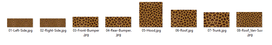 Leopard Car Kit